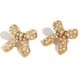 Starlit bow